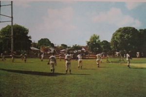 A View of St. Petersburg when the Yankees trained here. 